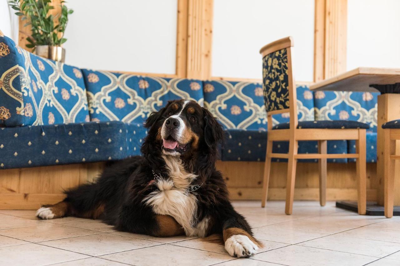 Hotel Lory - Molveno - Dolomiti エクステリア 写真